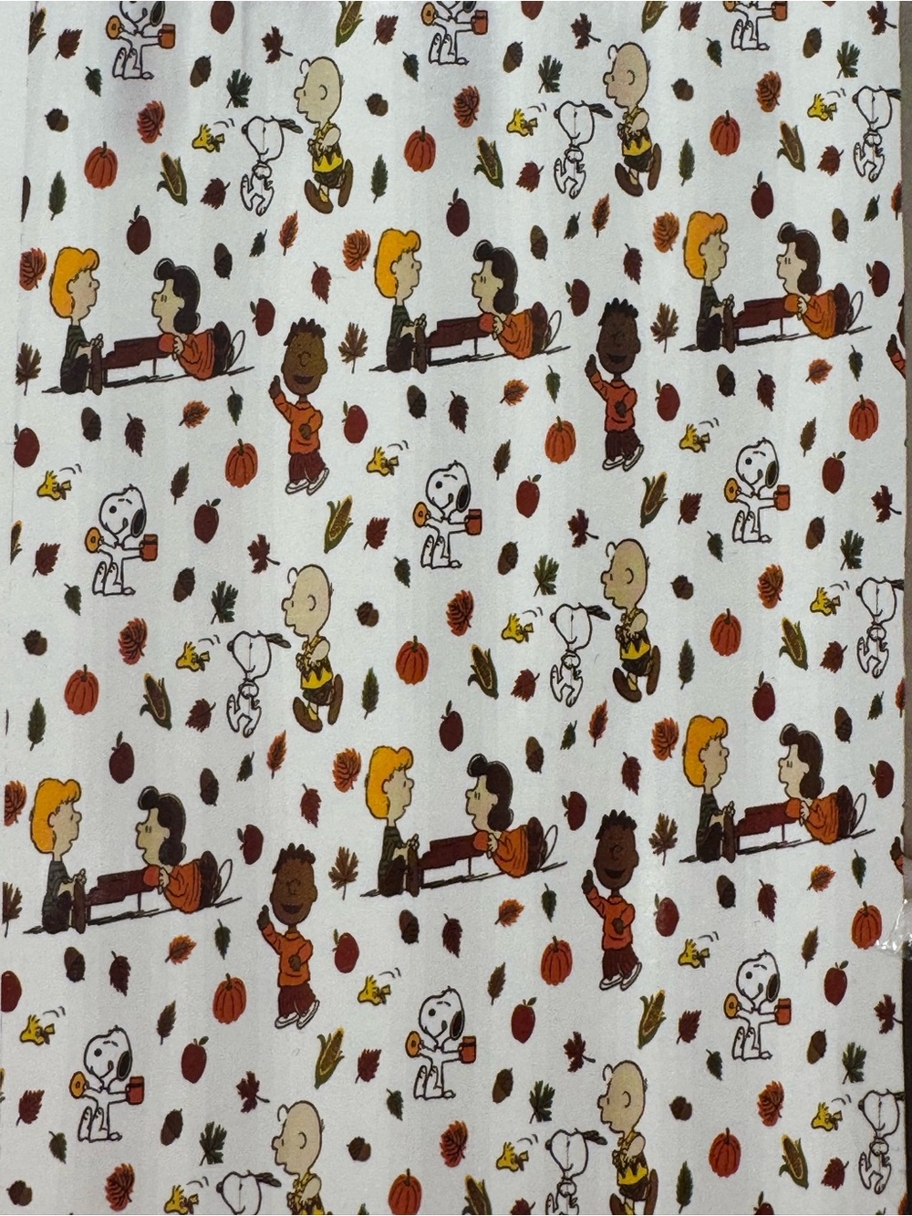 Peanuts Snoopy Fall Fabric Shower Curtain